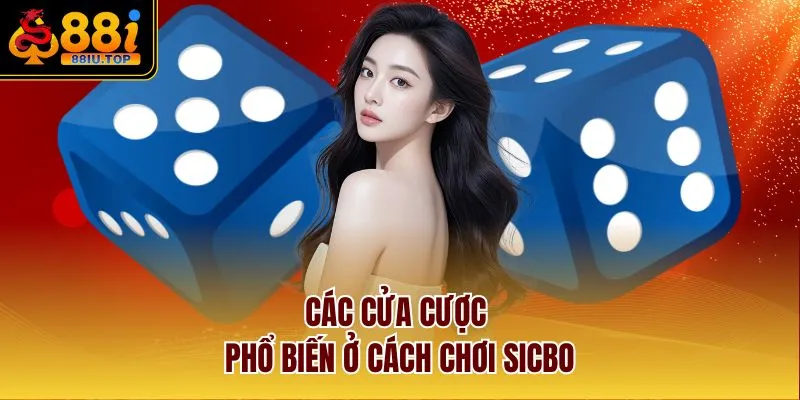 Các cửa cược phổ biến ở cách chơi Sicbo