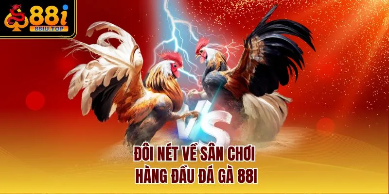 Đôi nét về sân chơi hàng đầu đá gà 88I