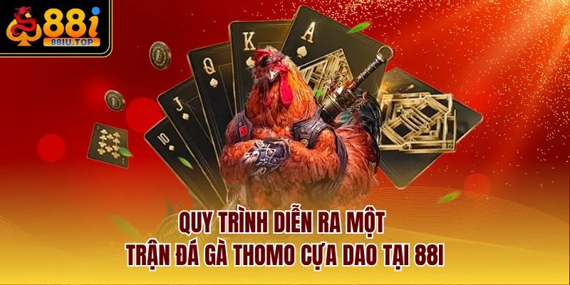 Quy trình diễn ra một trận đá gà Thomo cựa dao tại 88I 