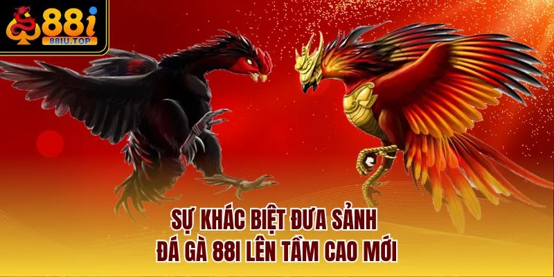 Sự khác biệt đưa sảnh đá gà 88I lên tầm cao mới